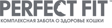 PERFECT FIT™ Logo