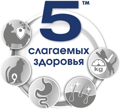 Logo total five